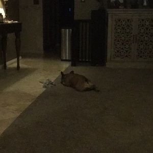 Meet your Posher, Kelly